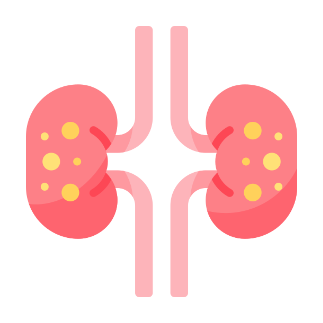 Nephrology